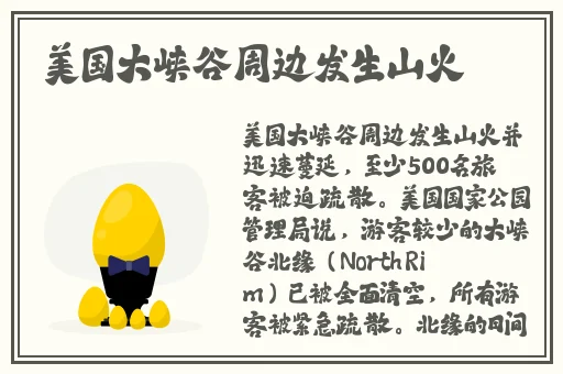 卡一在线播放